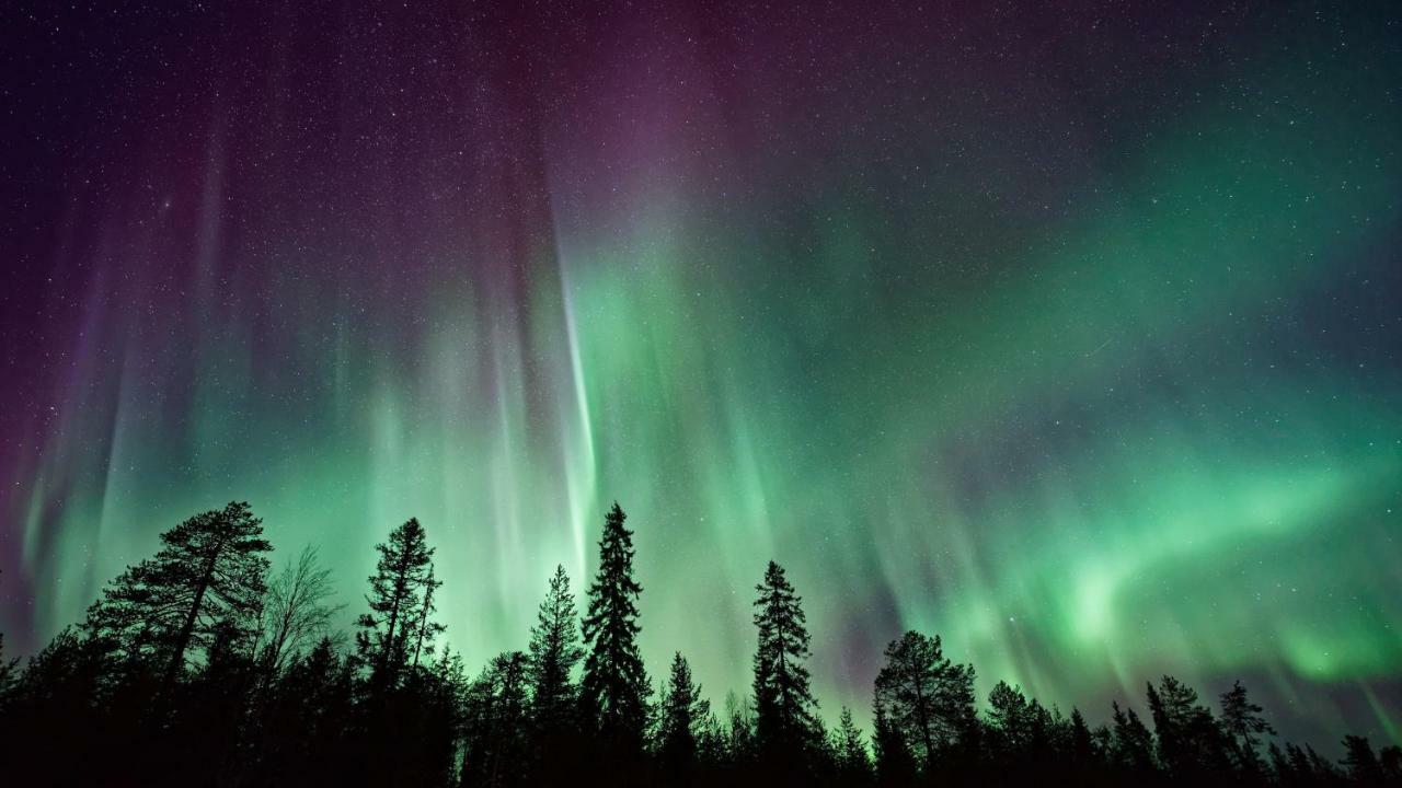 Arctic Homes - Premium Tromso Residence Екстер'єр фото